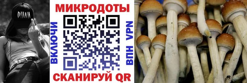kraken сайт  Емва  Галлюциногенные грибы мицелий  купить наркотики цена 